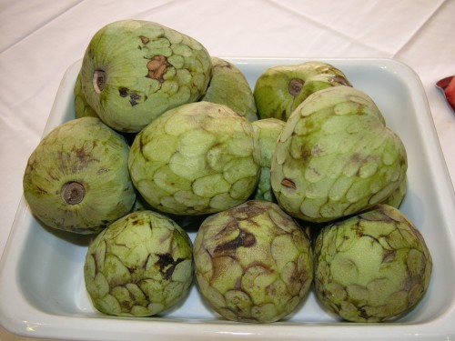 cherimoya