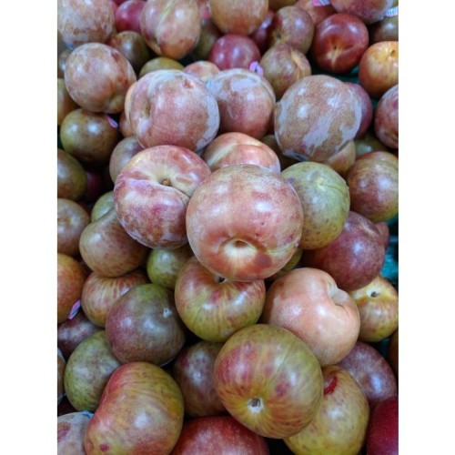 Pluot Dapple dandy